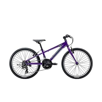 ルイガノ22インチ子供用自転車【引き取り限定】 ルイガノ J22 子供自転車 22インチ 18段変速 [J22]| 自転車専門
